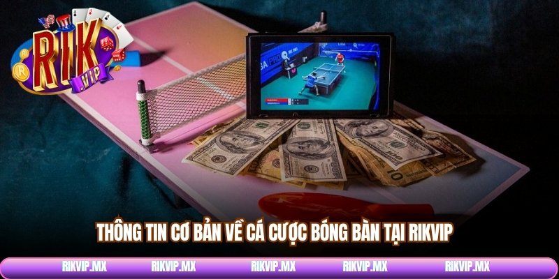 Thông tin cơ bản về cá cược bóng bàn tại Rikvip 